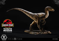 PRIME 1 Jurassic Park Estatua Prime Collectibles 1/10 Velociraptor Closed Mouth 19 cm