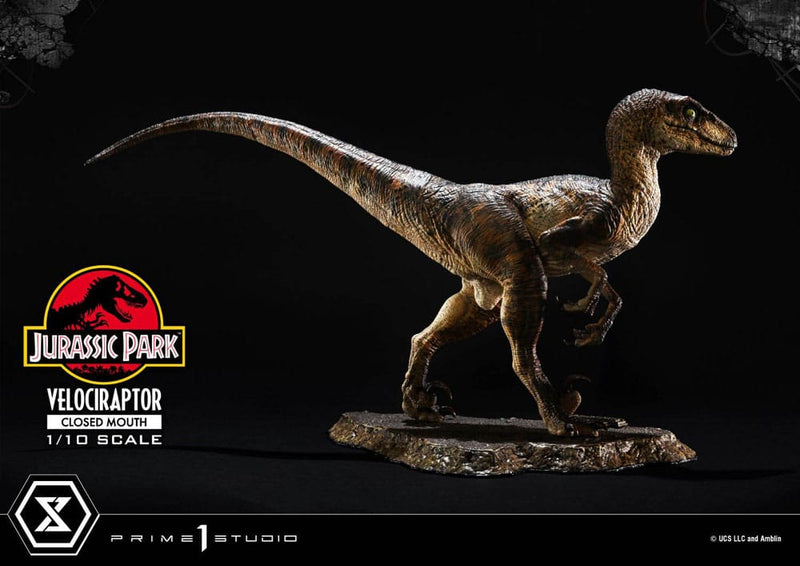 PRIME 1 Jurassic Park Estatua Prime Collectibles 1/10 Velociraptor Closed Mouth 19 cm