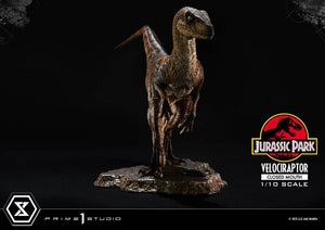 PRIME 1 Jurassic Park Estatua Prime Collectibles 1/10 Velociraptor Closed Mouth 19 cm