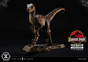 PRIME 1 Jurassic Park Estatua Prime Collectibles 1/10 Velociraptor Closed Mouth 19 cm