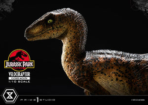 PRIME 1 Jurassic Park Estatua Prime Collectibles 1/10 Velociraptor Closed Mouth 19 cm