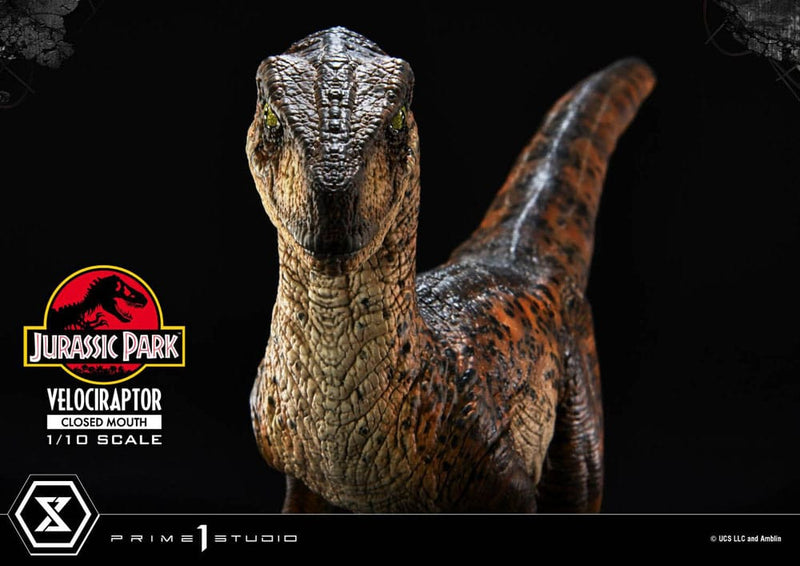 PRIME 1 Jurassic Park Estatua Prime Collectibles 1/10 Velociraptor Closed Mouth 19 cm