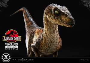 PRIME 1 Jurassic Park Estatua Prime Collectibles 1/10 Velociraptor Closed Mouth 19 cm