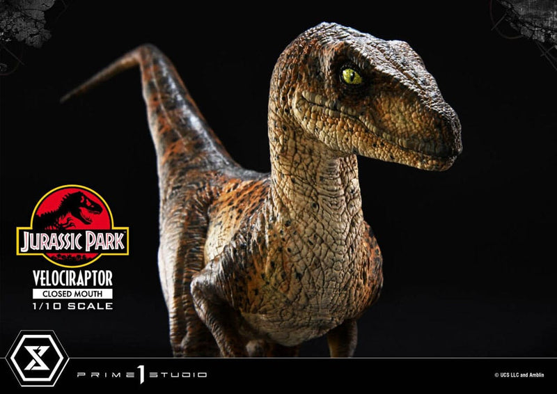 PRIME 1 Jurassic Park Estatua Prime Collectibles 1/10 Velociraptor Closed Mouth 19 cm