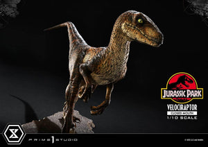 PRIME 1 Jurassic Park Estatua Prime Collectibles 1/10 Velociraptor Closed Mouth 19 cm