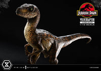 PRIME 1 Jurassic Park Estatua Prime Collectibles 1/10 Velociraptor Closed Mouth 19 cm