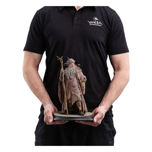 WETA COLLECTIBLES El Señor de los Anillos Estatua 1/6 Radagast 30 cm