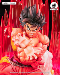 Tsume Art 1/6 Dragon Ball Z Statue HQS Goku Kaio-Ken