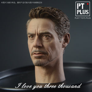 PT Plus 1/6 Cabeza Tony Stark