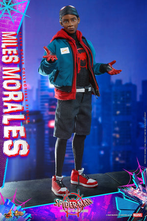 Hot Toys 1/6 Spider-Man Into The Spiderverse: Miles Morales