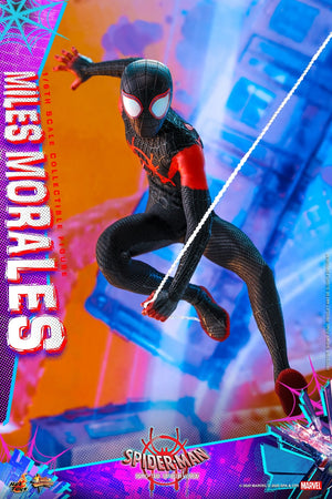 Hot Toys 1/6 Spider-Man Into The Spiderverse: Miles Morales