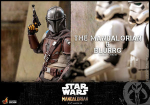 Hot Toys 1/6 Star Wars The Mandalorian: Mandalorian & Blurrg Collectible Set