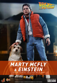 Hot Toys 1/6 Regreso Al Futuro: Marty McFly & Einstein Exclusive