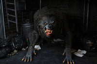 Un Hombre Lobo Aamericano en Londres Figura Ultimate Kessler Werewolf 18 cm