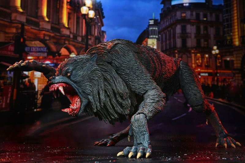 Un Hombre Lobo Aamericano en Londres Figura Ultimate Kessler Werewolf 18 cm