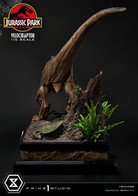 Jurassic Park Estatua Legacy Museum Collection 1/6 Velociraptor Attack 38 cm